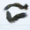 barred brown squirrel tail