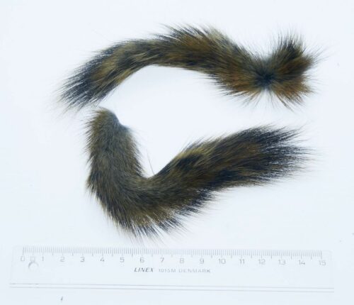 barred brown squirrel tail