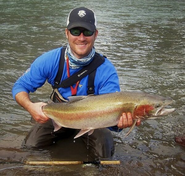 Tube Steelhead Beetle - Big # 4  Caddisfly - imitating wake flies