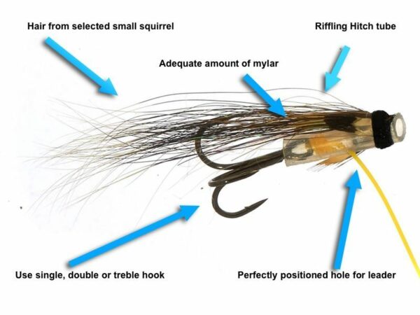 Newsletter 2019 Iridescent hitch fly, Tiny hitch flies