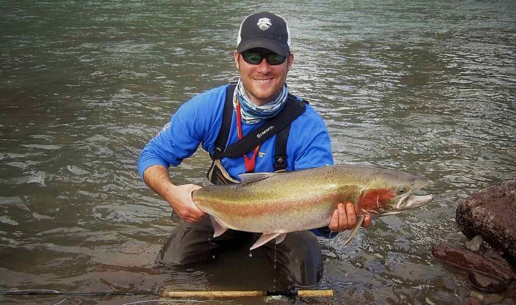 Steelhead beatle