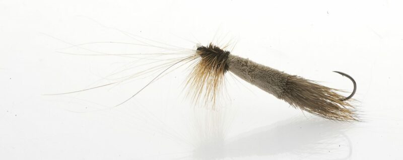 salmon dry fly