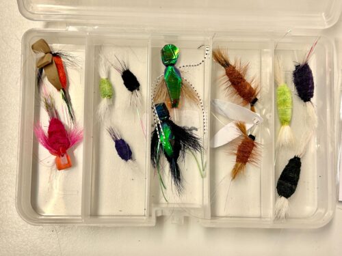 Selection of small wake flies for Steelhead and Salmon