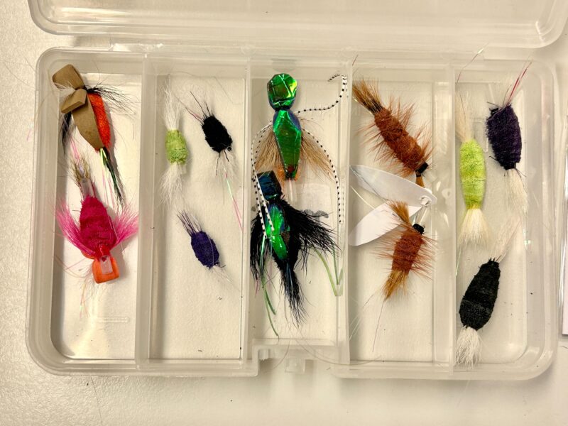 Selection of small wake flies for Steelhead and Salmon