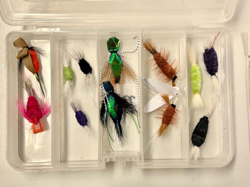 Selection of small wake flies for Steelhead and Salmon