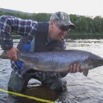 Bomber dry fly salmon