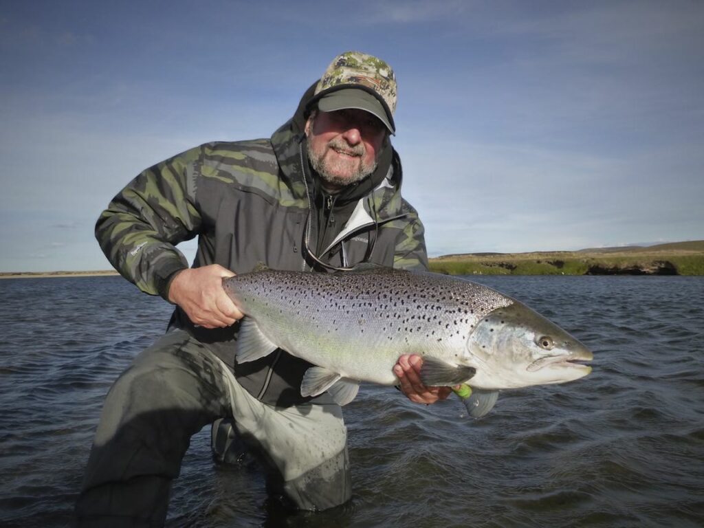 sea trout on wake fly