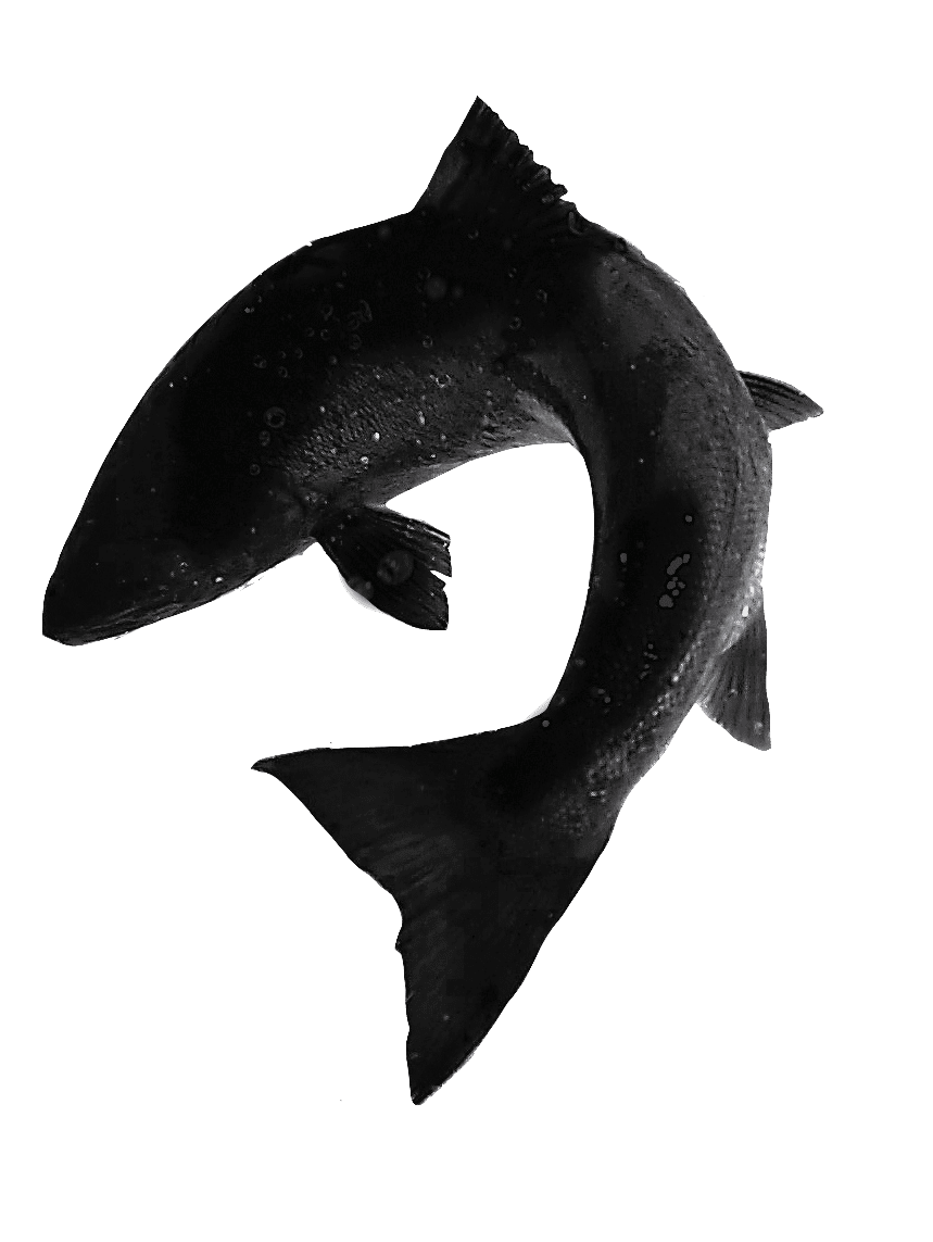 Fishmadman logo