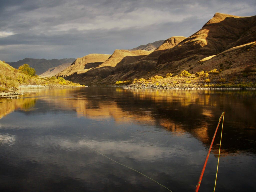 Steelhead wake fly water