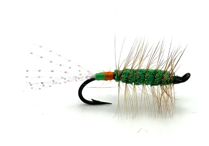 Glitter Bug Green - Green and Orange Butt # 8