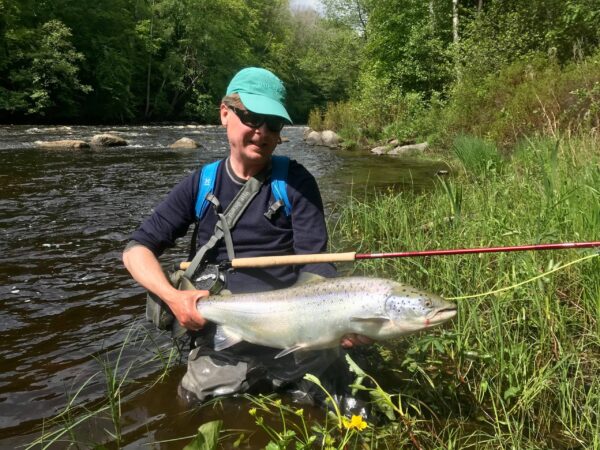 Salmon on Soldier Palmer