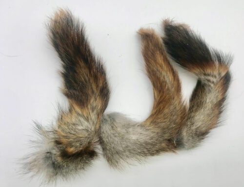 Grey Squirrel Tails  Fly Tying 