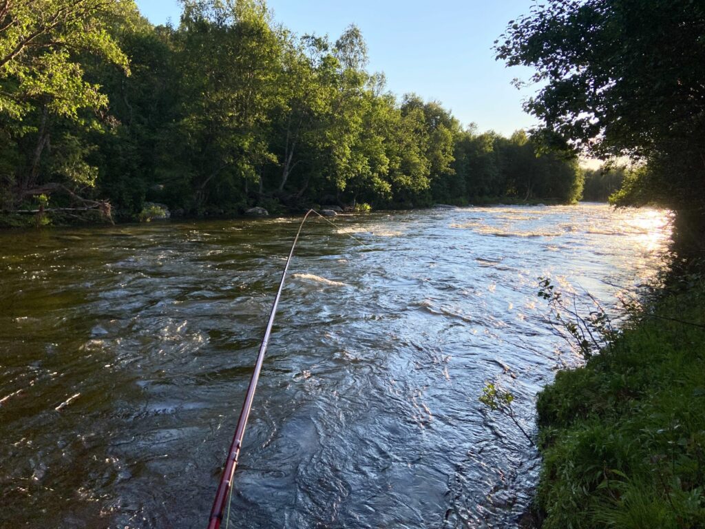 hitch fishing for salmon