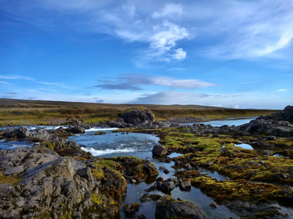 Salmon flies for iceland