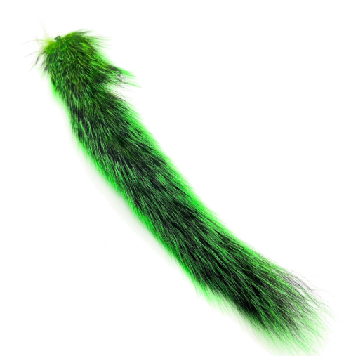 Squirrel tail green