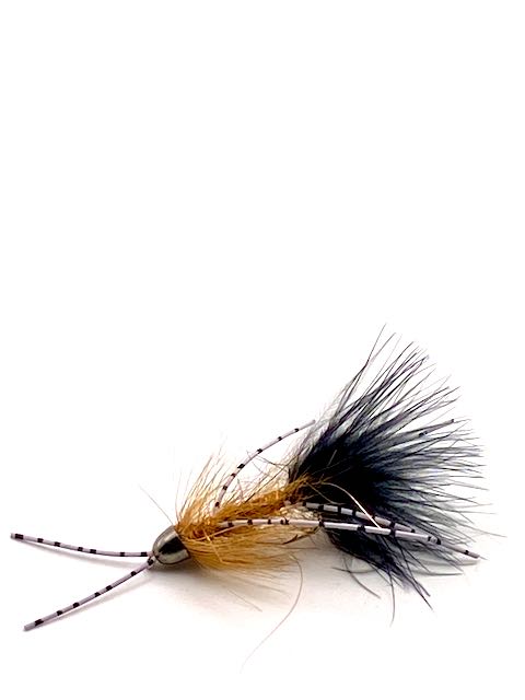 CH-TDF Bugger Black and Brown # 6