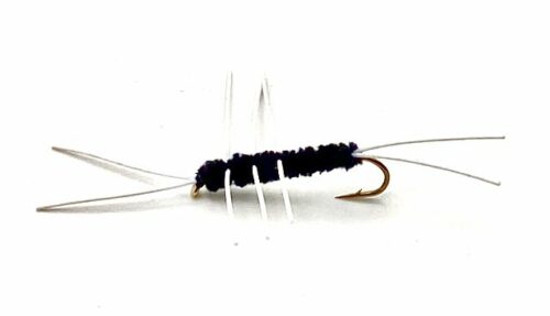 Girdle Bug # 6