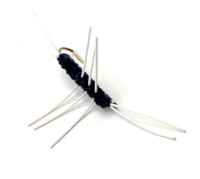 Girdle Bug # 8