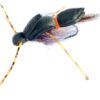 Night Skater Sea trout fly - Black/Chartreuse # 6