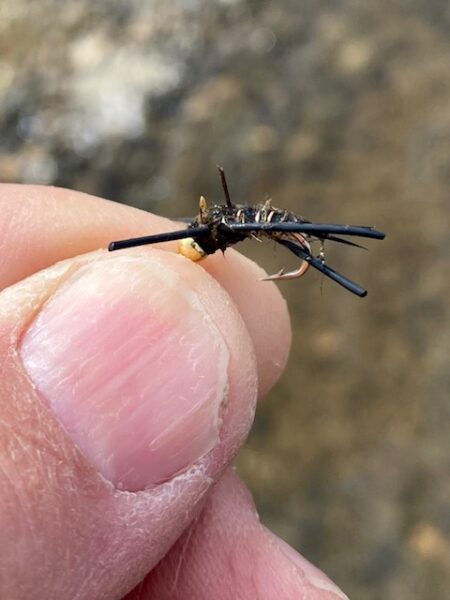 Vitamin-B Tungsten TDF fly