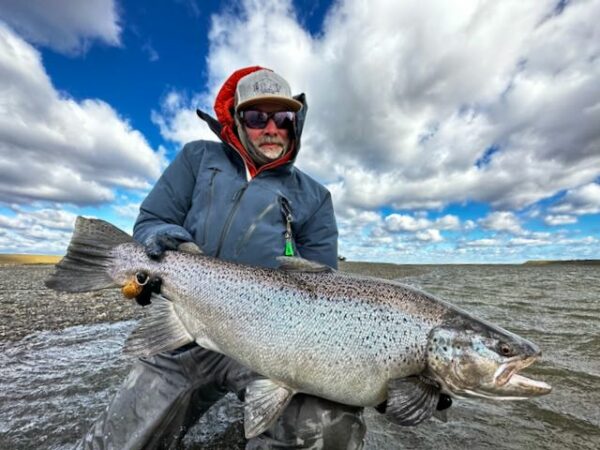 Sea trout argentina TDF flies - sea run brown trout