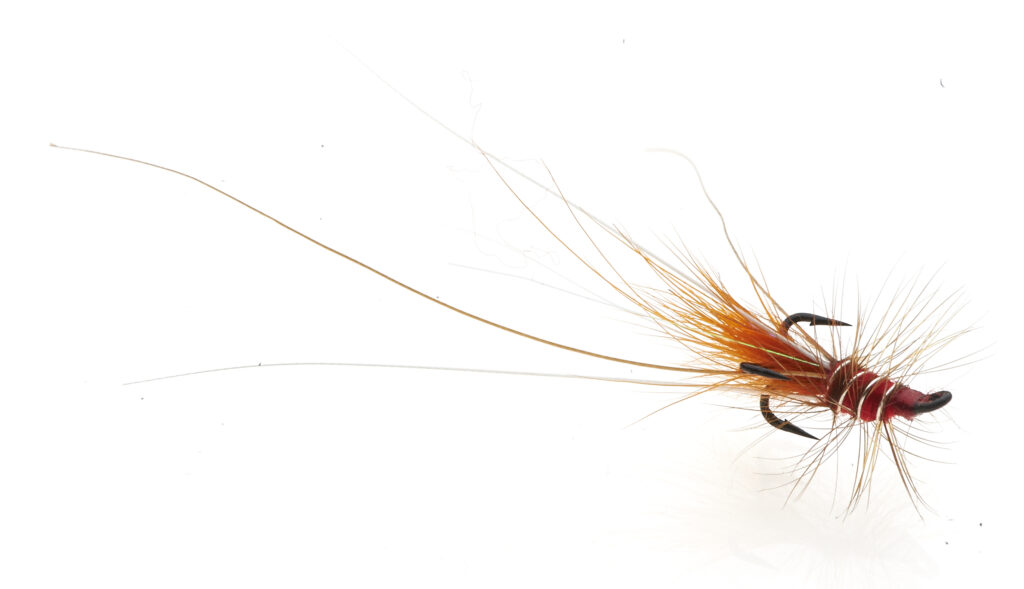 Frances salmon fly