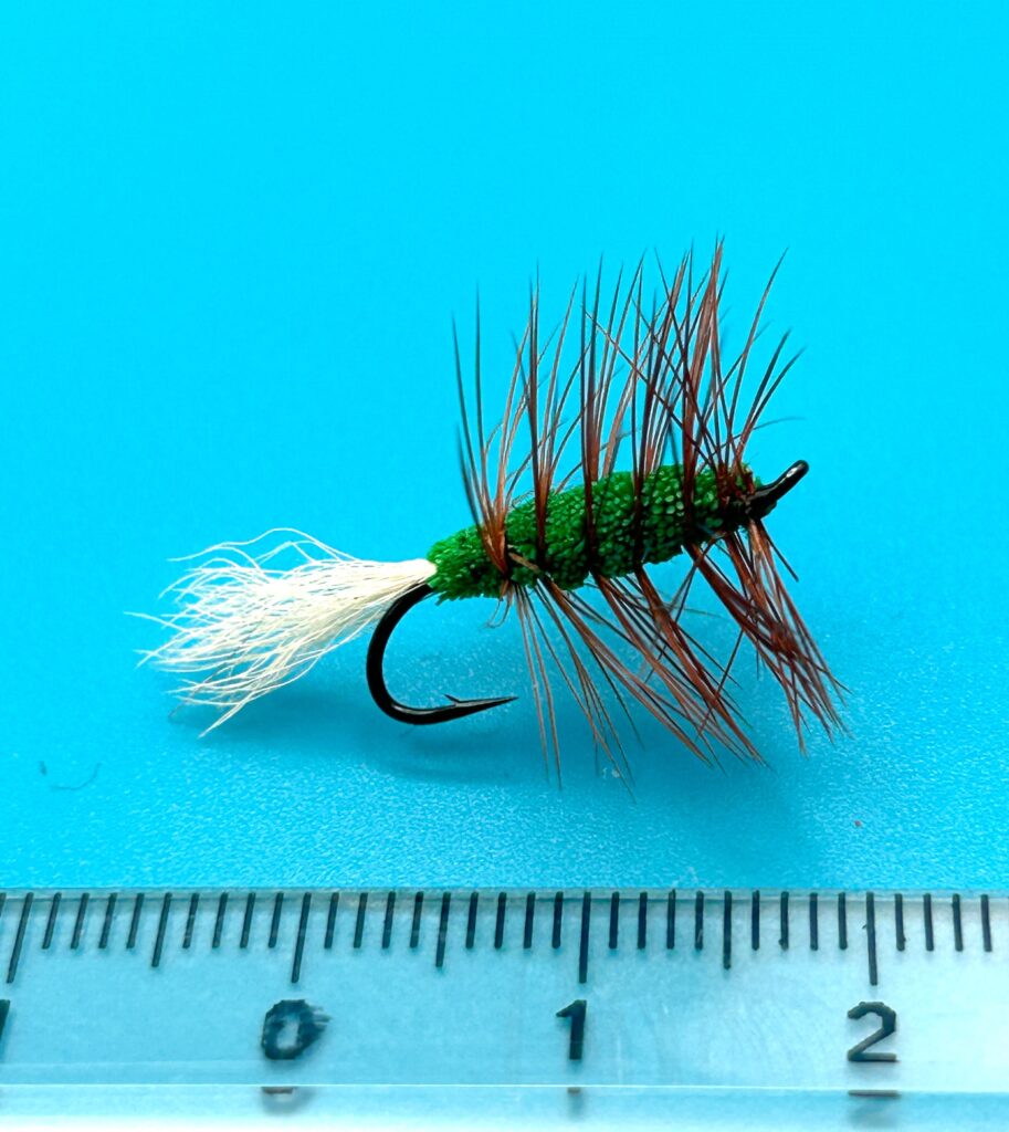 THE FISHMADMAN SHOP