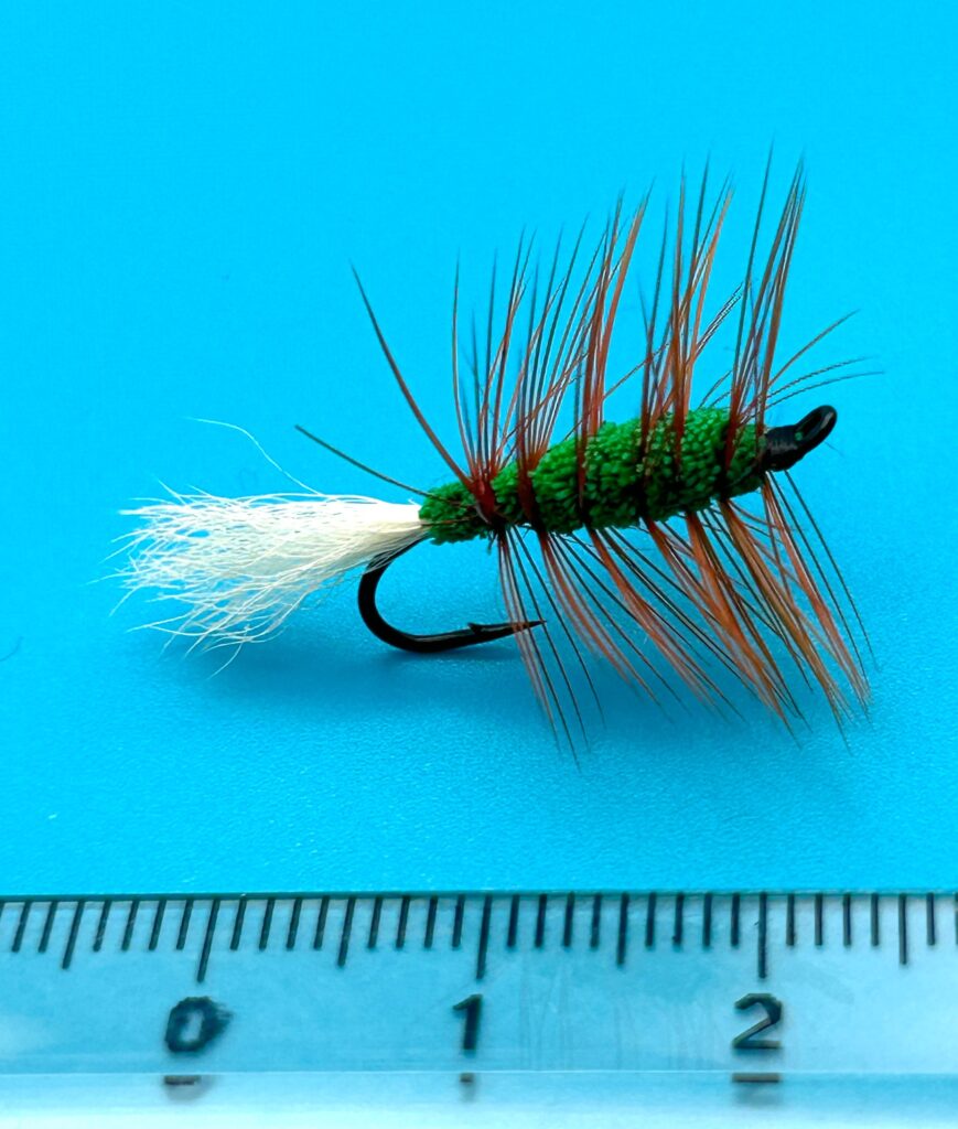 THE FISHMADMAN SHOP