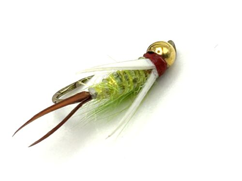 Pepe Fanzy TDF Prince #10 - TD1120
