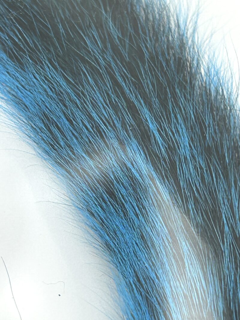 Blue Silver Tippet Squirrel tail - Image 2