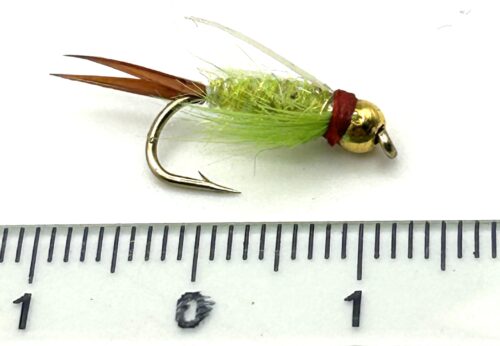 Pepe Fanzy TDF Prince #10 - TD1120