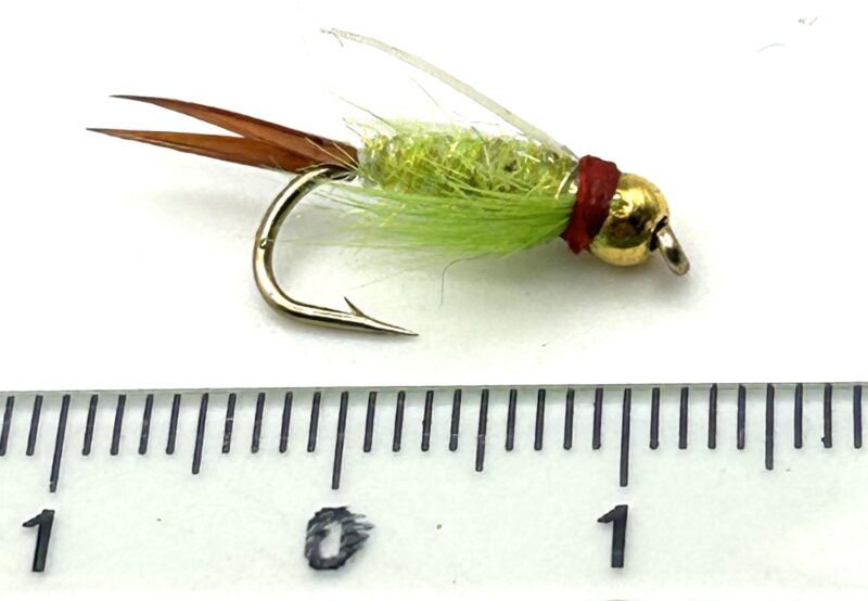 Pepe Fanzy TDF Prince #10 - TD1120