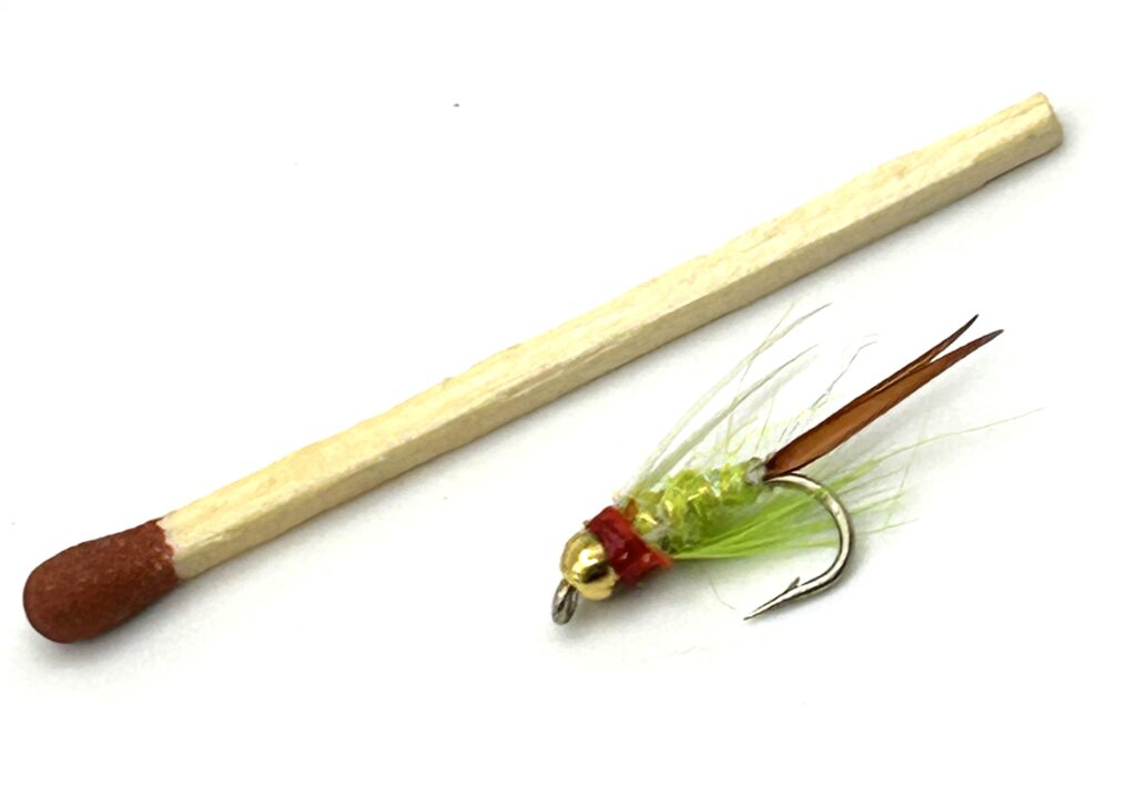 THE FISHMADMAN SHOP