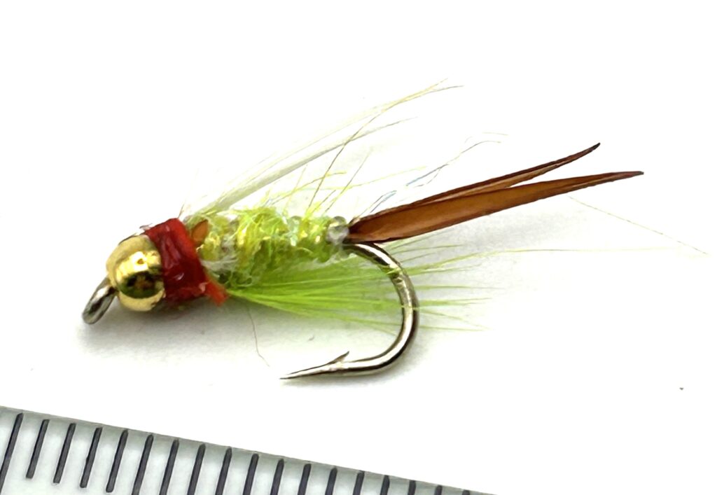 THE FISHMADMAN SHOP