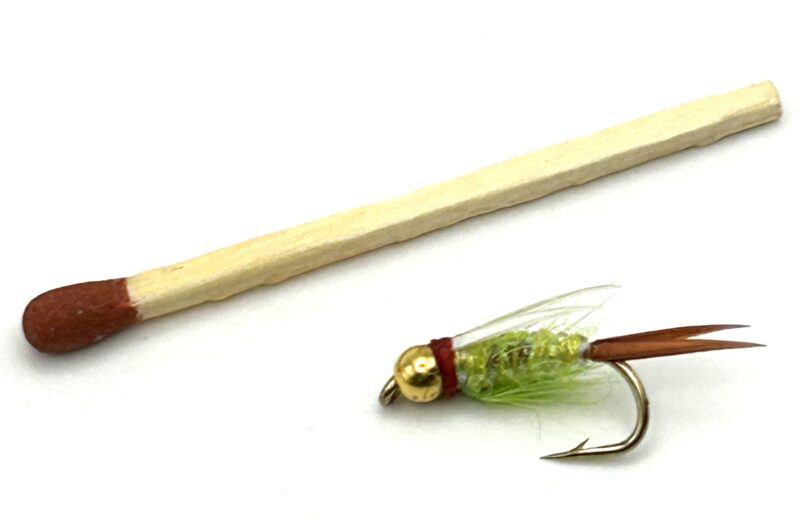 Pepe Fanzy TDF Prince #10 - TD1120