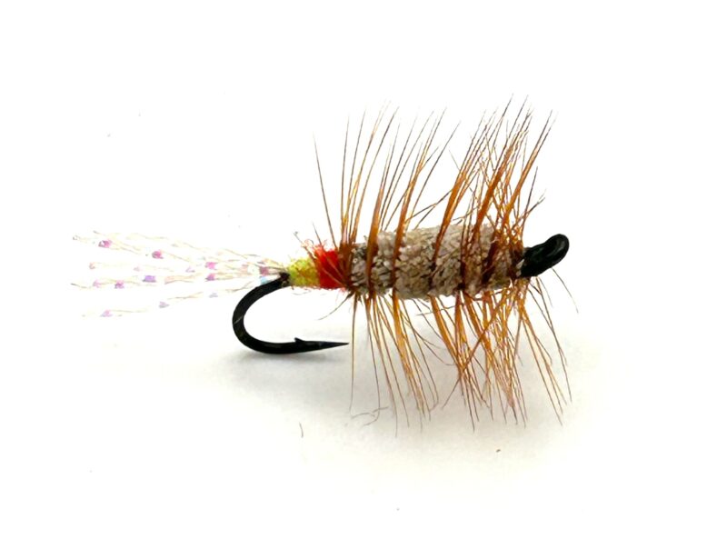 Glitter Bug Brown Green and Red butt # 12