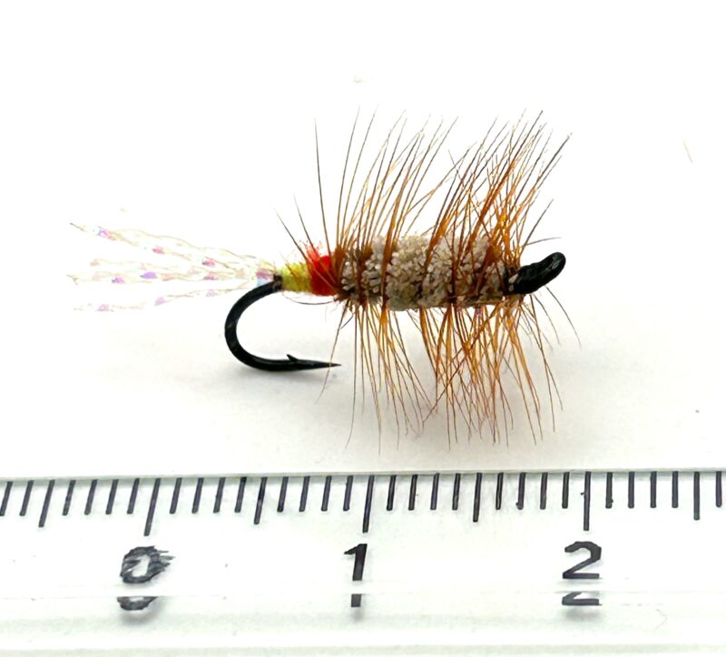Glitter Bug Brown Green and Red butt # 12